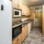 Teresa Urban Flat Palmas