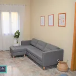 Teresa Urban Flat Palmas