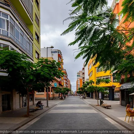 Teresa Urban Flat Palmas