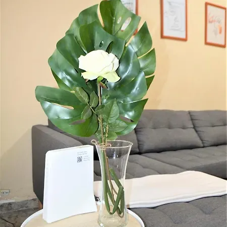 Апартаменты Teresa Urban Flat Palmas *