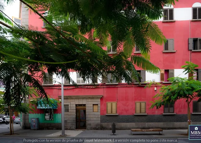 Teresa Urban Flat Palmas Lejlighed Las Palmas de Gran Canaria