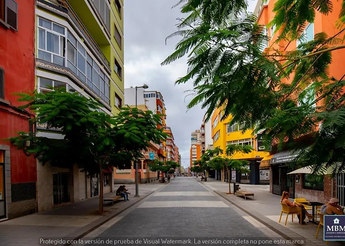 Teresa Urban Flat Palmas